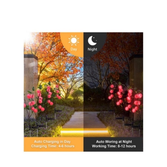 Solar LED Lights - Picture 2 of 8